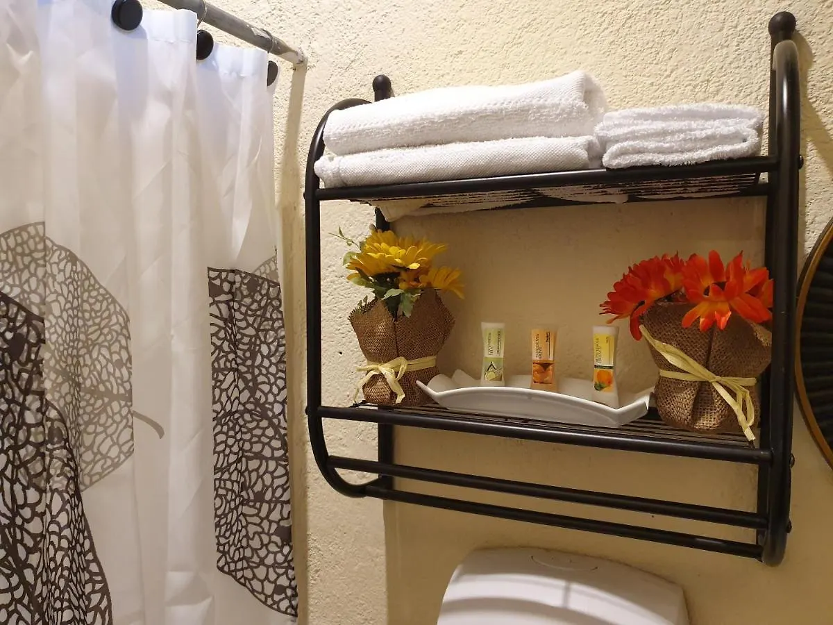 Bed and Breakfast Parrot House Antigua Guatemala