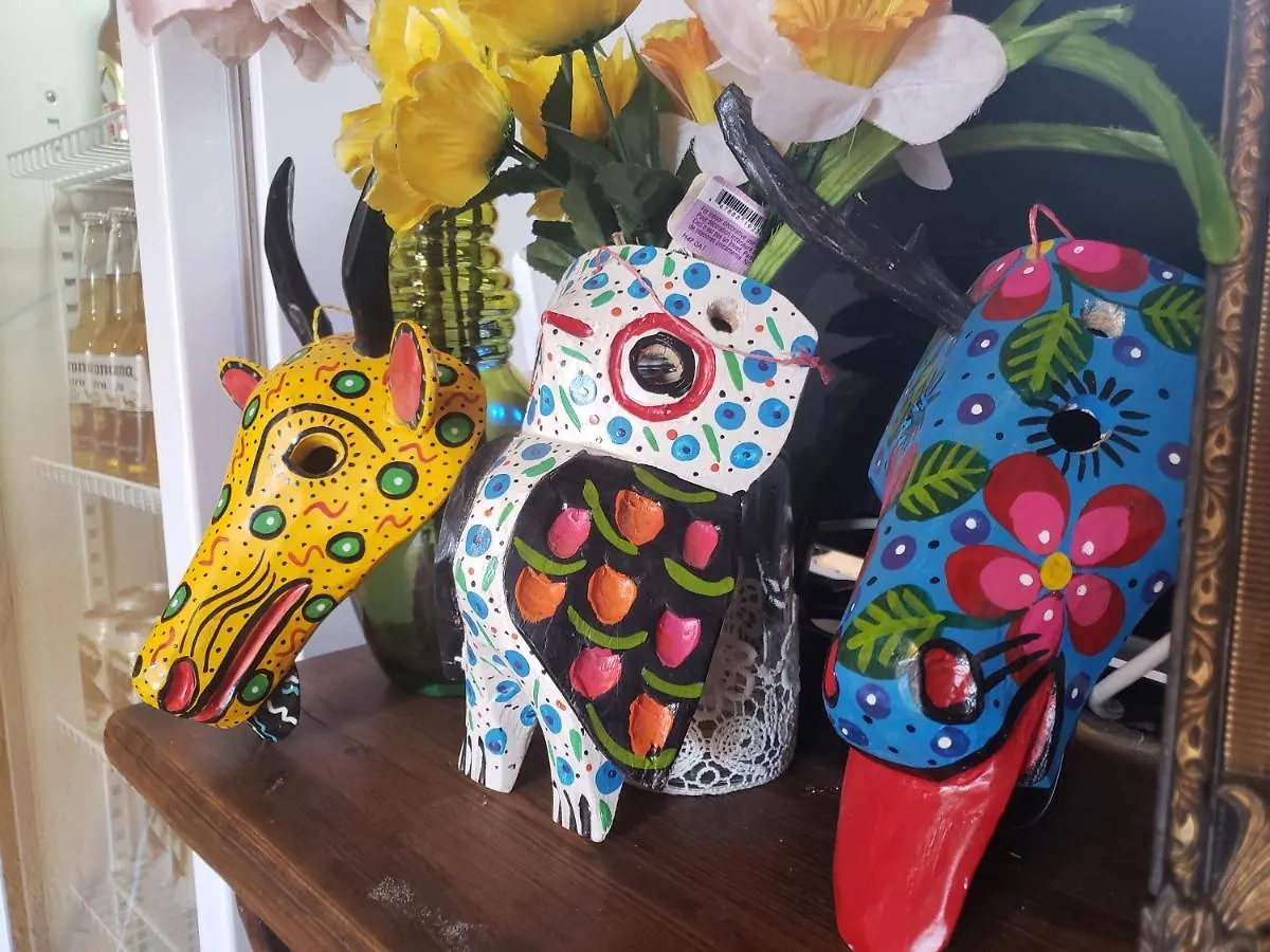 Parrot House Acomodação com café da manhã Antigua Alojamento de Acomodação e Pequeno-almoço