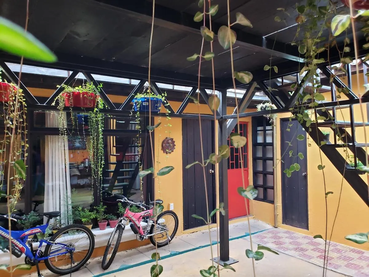 Parrot House Acomodação com café da manhã Antigua