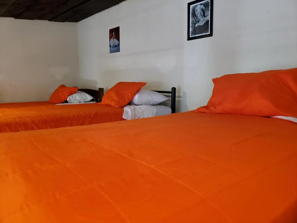 Parrot House Acomodação com café da manhã Antigua Alojamento de Acomodação e Pequeno-almoço